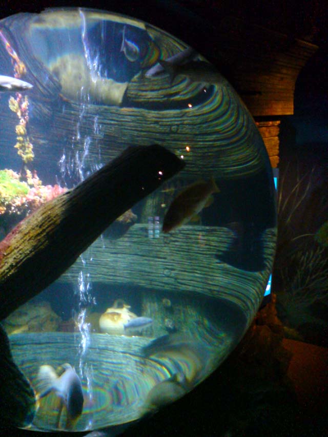 Aquarium en forme de Boule à Munich