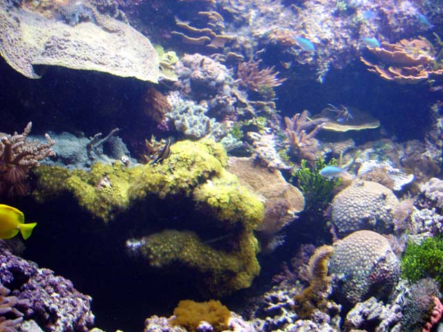 Aquarium Porte Dorée Paris